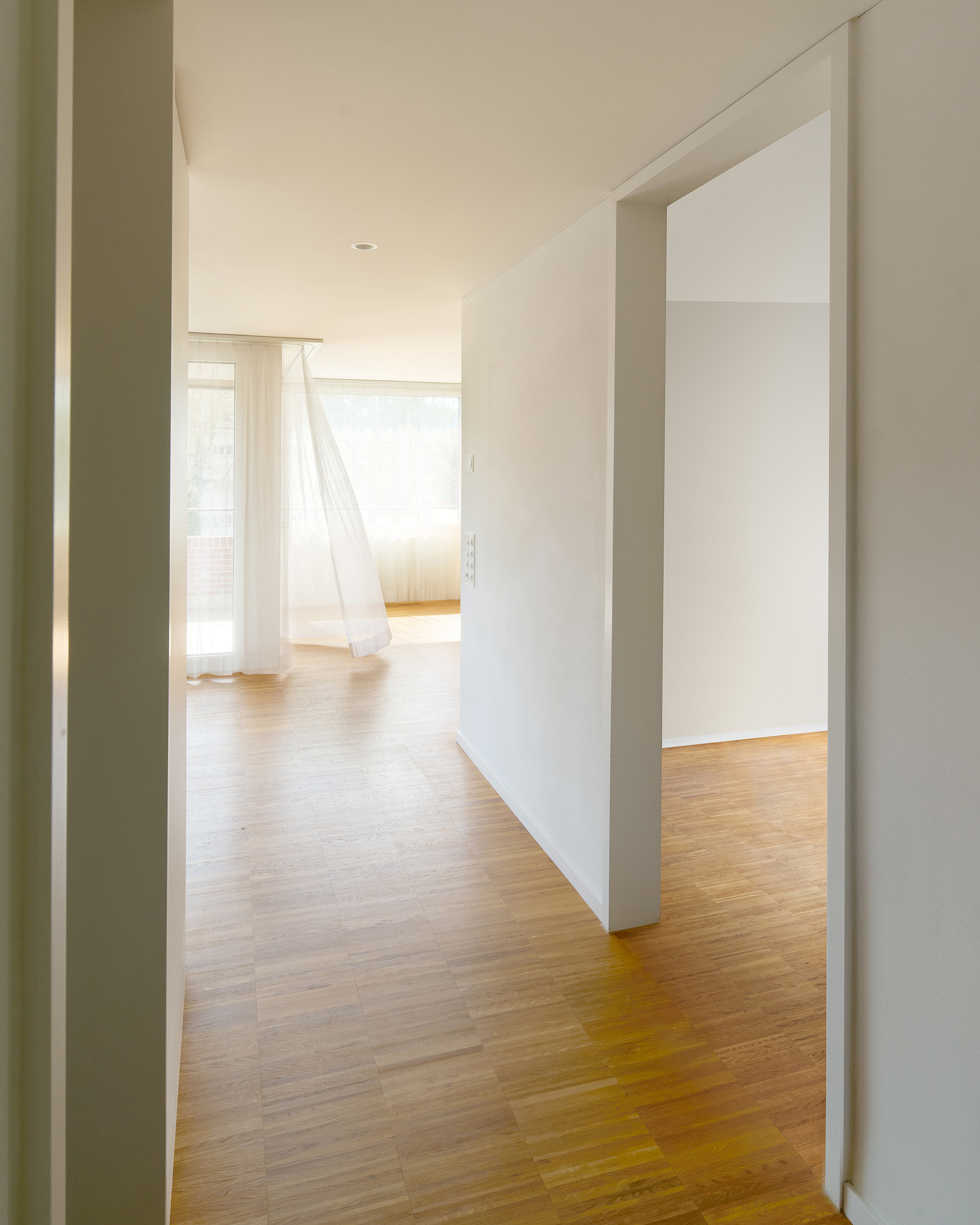 Neubau einer Mehrfamilienhaus-Siedlung in Regensdorf.